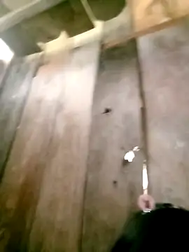 DIANAKUTE online show from 03-10-26, 05:44