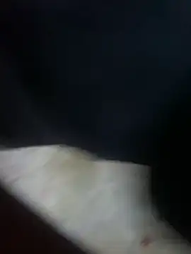 08yeis online show from 07-25-26, 12:33