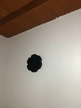 seth c online show from 03-21-26, 06:12