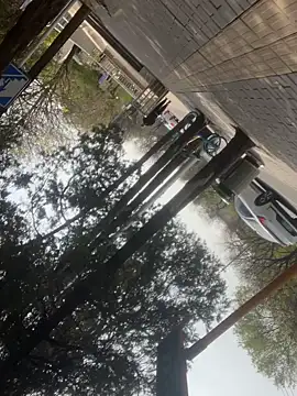 Qidandan778 online show from 04-12-26, 02:37