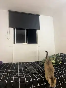 Snapshot of itselladoll chatting on 02-22-26, 07:55 itselladoll online show from 02-22-26, 07:55