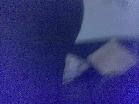 Babyboo3620 online show from 03-14-26, 01:22