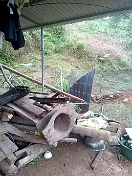 congchua977 online show from 03-18-26, 11:59