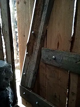 congchua977 online show from 03-08-26, 02:04