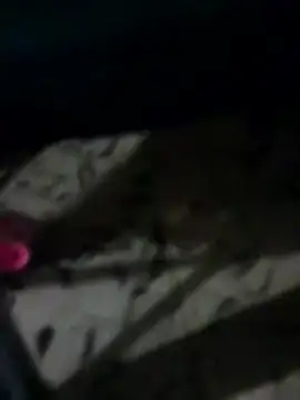 Snapshot of Antras92 chatting on 01-12-26, 01:45 Antras92 online show from 01-12-26, 01:45