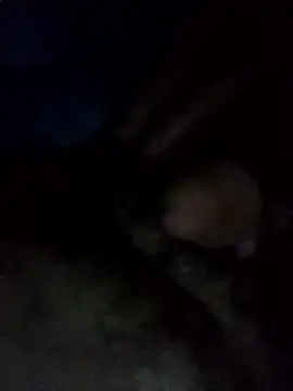 Snapshot of EchoedPerusing chatting on 01-11-26, 11:44 EchoedPerusing online show from 01-11-26, 11:44