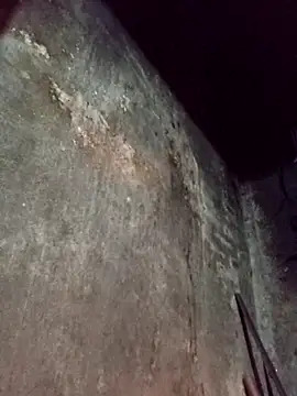 dakota-kis online show from 04-02-26, 10:27