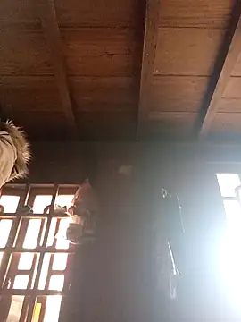 dakota-kis online show from 03-21-26, 01:29