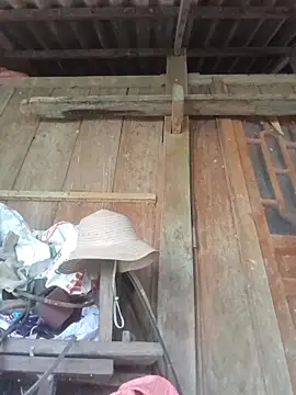 dakota-kis online show from 04-11-26, 07:45