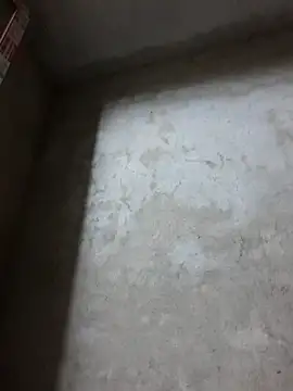 dakota-kis online show from 04-11-26, 12:51