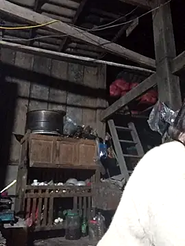 Snapshot of dakota-kis chatting on 01-17-26, 12:42 dakota-kis online show from 01-17-26, 12:42