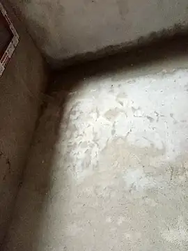 Snapshot of dakota-kis chatting on 02-14-26, 11:49 dakota-kis online show from 02-14-26, 11:49