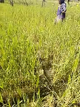 hornycouple20000 online show from 01-14-26, 07:34