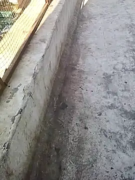 hornycouple20000 online show from 03-07-26, 04:19