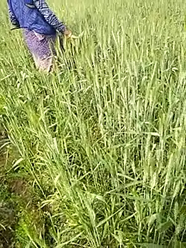 Snapshot of hornycouple20000 chatting on 02-01-26, 06:44 hornycouple20000 online show from 02-01-26, 06:44