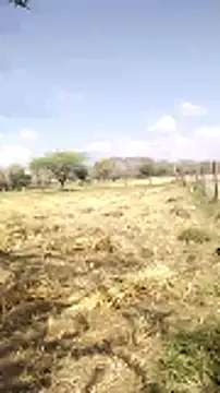 hornycouple20000 online show from 03-20-26, 05:08