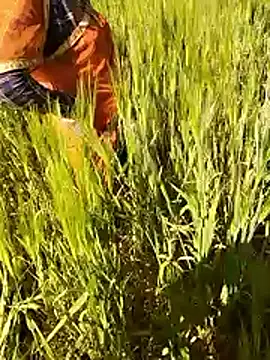 hornycouple20000 online show from 01-15-26, 07:12