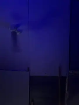 Bigbrowneyes25 online show from 03-09-26, 05:00