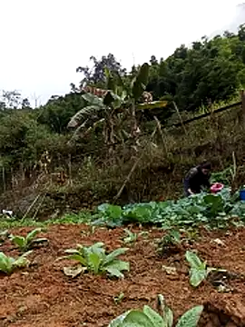 Hiniyk2 online show from 02-13-26, 01:38