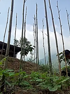 Hiniyk2 online show from 03-24-26, 02:11