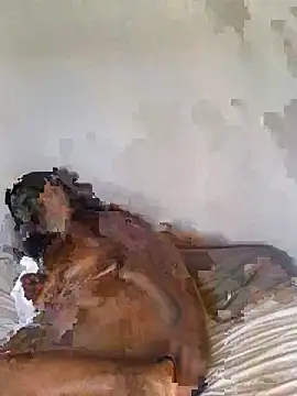 babepear online show from 02-25-26, 06:35