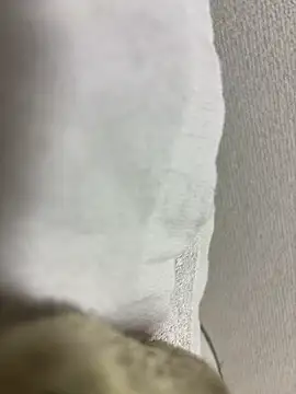 maonyan6 online show from 02-13-26, 09:31