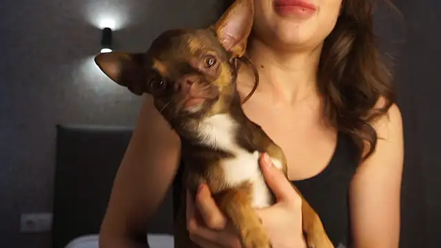 linclars online show from 03-06-26, 01:39