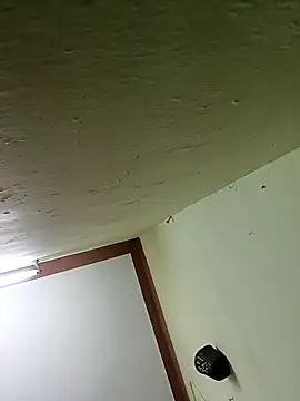 Aanurani online show from 02-15-26, 11:09