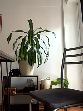 Chubandchaser online show from 01-08-26, 12:22