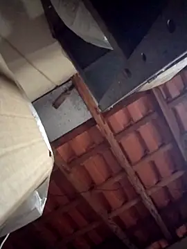 Fefe2805 online show from 02-25-26, 08:19