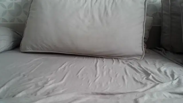 Snapshot of apollo81 chatting on 02-18-26, 09:50 apollo81 online show from 02-18-26, 09:50