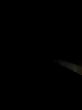 Dariralf online show from 02-17-26, 12:19