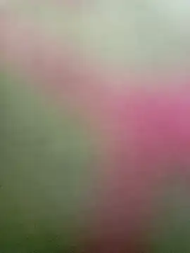 Dariralf online show from 01-16-26, 12:42