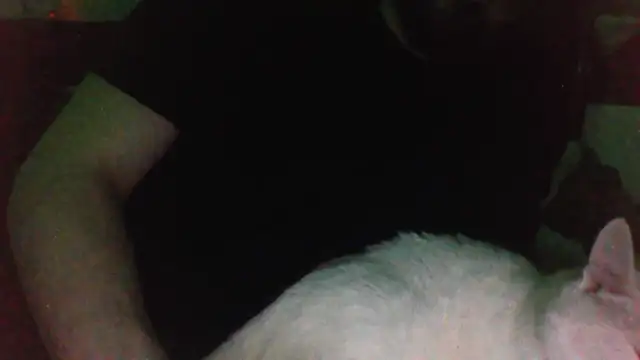 KaelNox online show from 03-31-26, 11:40