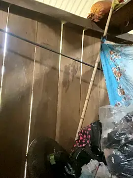 siorin 24 online show from 01-10-26, 07:47