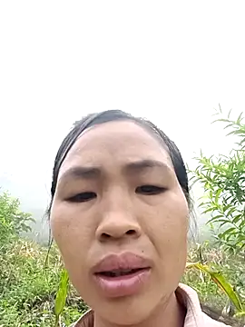 xiaogoal online show from 07-22-26, 02:35