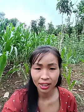 xiaogoal online show from 06-20-26, 11:48