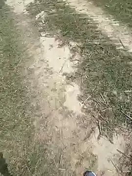 Pagelboy 089 online show from 03-27-26, 08:22