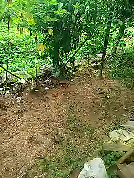 Snapshot of SLfilig chatting on 07-18-26, 03:26 SLfilig online show from 07-18-26, 03:26