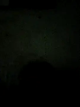 paladito01 online show from 03-23-26, 04:45