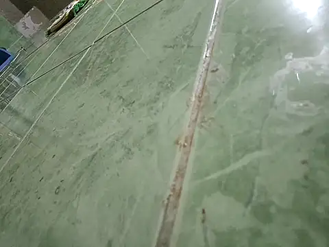 paladito01 online show from 02-07-26, 12:29