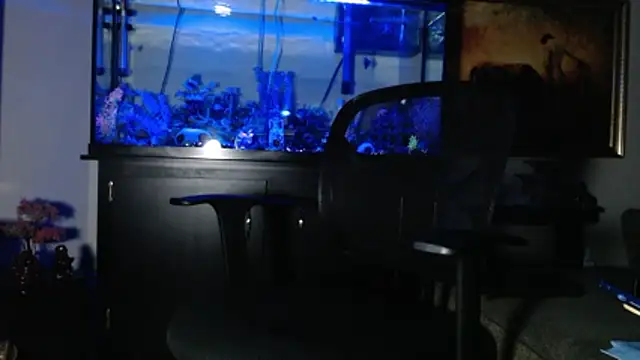 Snapshot of EspanolVato chatting on 01-08-26, 12:55 EspanolVato online show from 01-08-26, 12:55