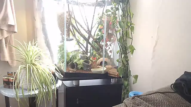 EspanolVato online show from 04-15-26, 07:58