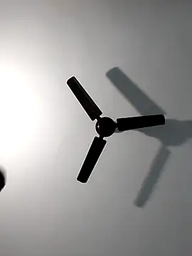 Sonali-6 online show from 02-14-26, 04:40