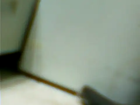 Snapshot of ger211 chatting on 07-13-26, 01:49 ger211 online show from 07-13-26, 01:49