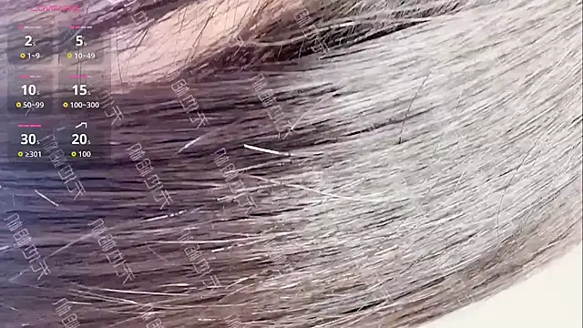 MeiMei-JiaJia online show from 01-06-26, 06:50