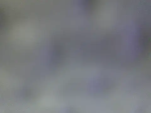 Minico25 online show from 03-29-26, 02:46