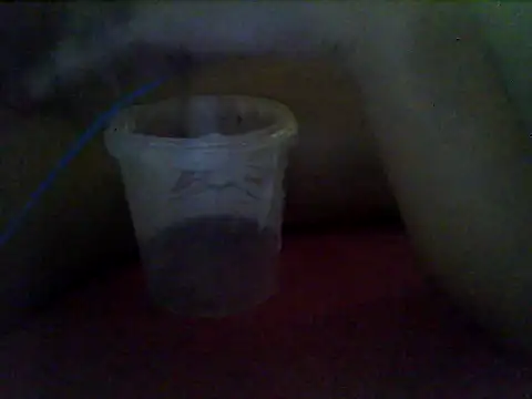 MorenaJapinha online show from 01-14-26, 11:58