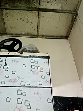 Sana-vn online show from 03-01-26, 12:21