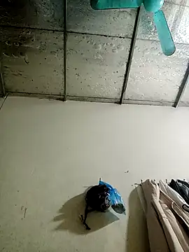 Sana-vn online show from 01-15-26, 01:47